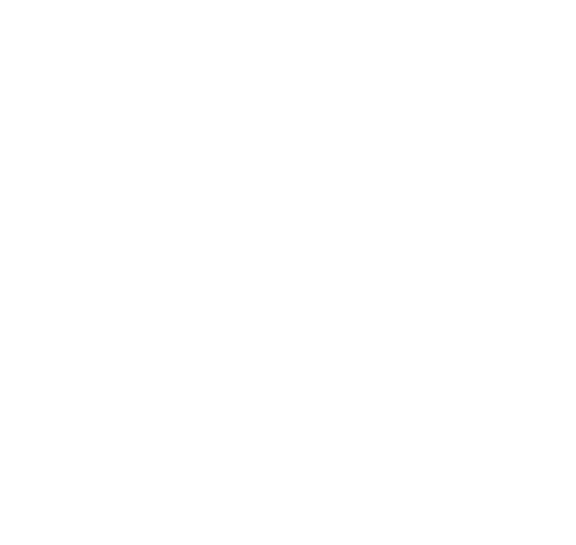 TelevisanetworkslogoBLANCO